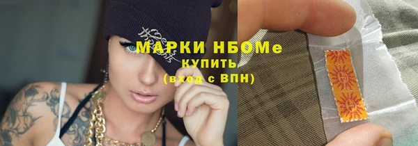 хмурый Алзамай