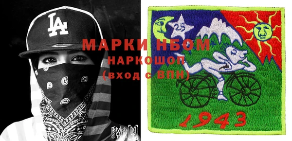 хмурый Алзамай