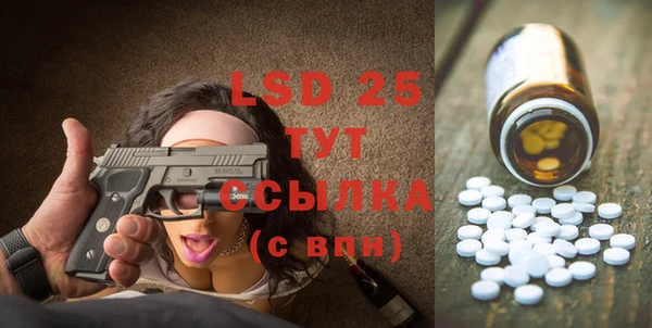 хмурый Алзамай