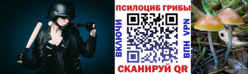 ссылка на мегу зеркало  Любим  Галлюциногенные грибы ЛСД 
